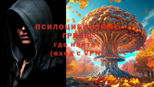 герыч Белокуриха