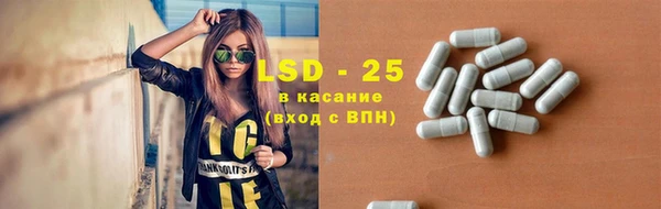 сатива Беломорск