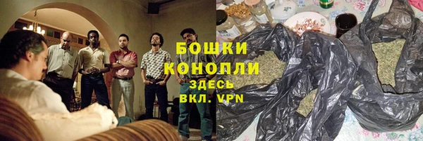 сатива Беломорск