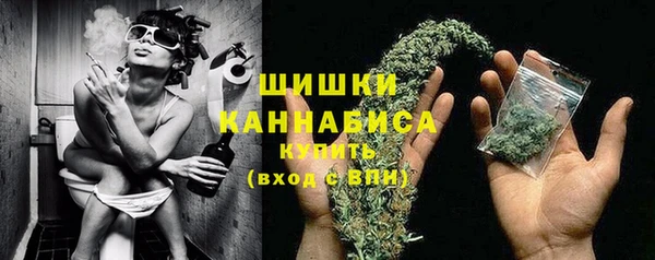 сатива Беломорск
