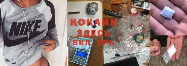 сатива Беломорск
